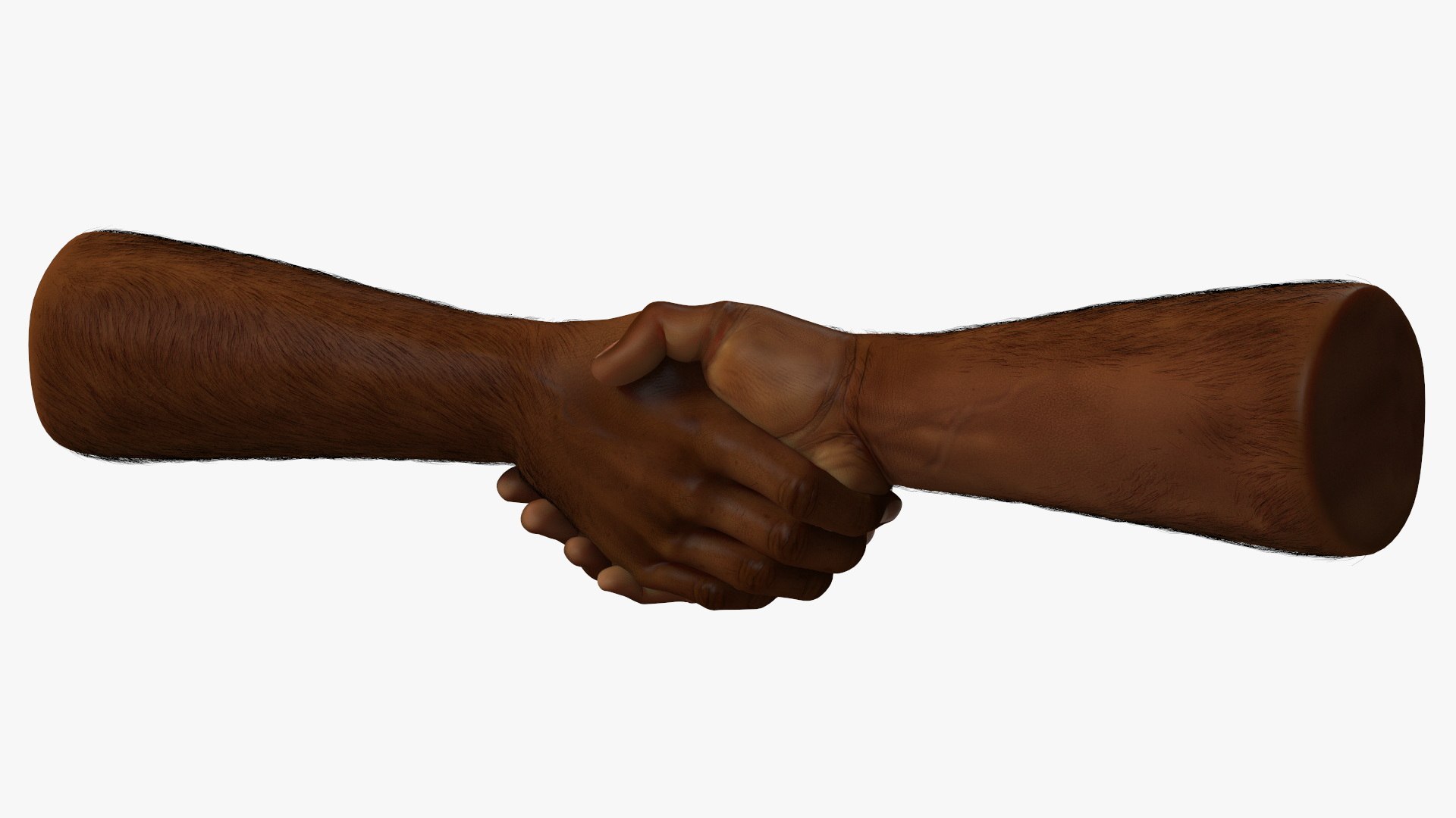 Handshake African Man Hands with Fur Rigged 3D model preview