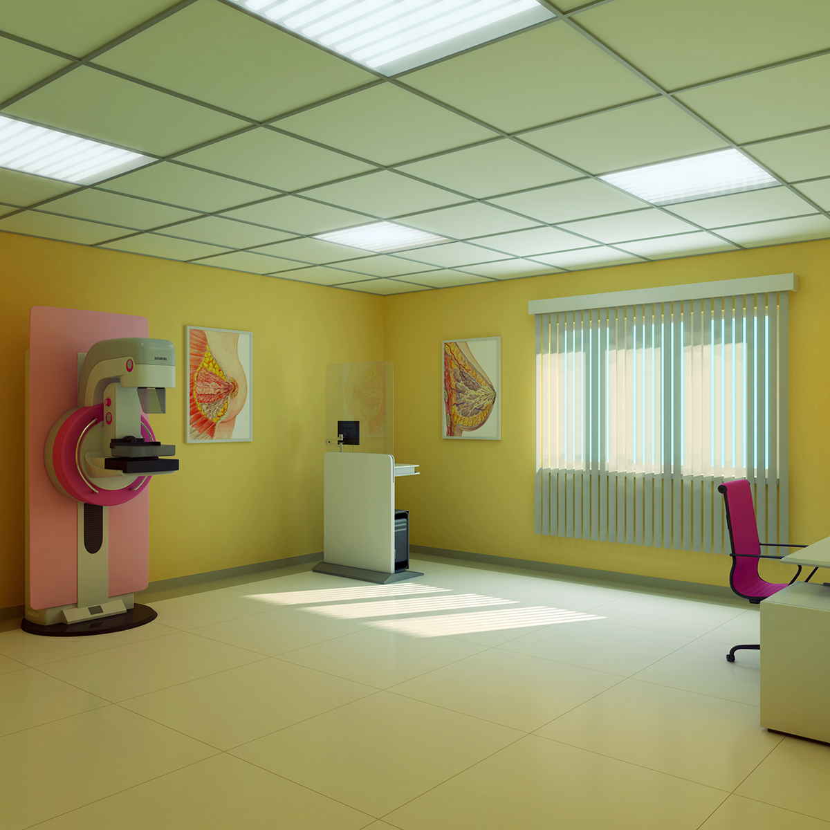 3d Model Mammography Room