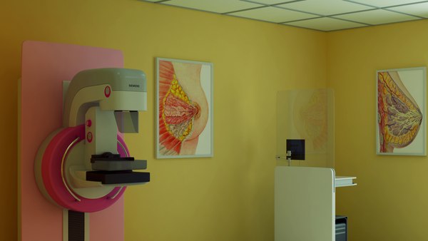 3d model mammography room