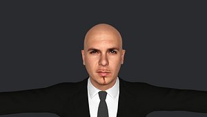 pitbull Singer  Hyper Realistic Full Body Fully Rigged 3D Character