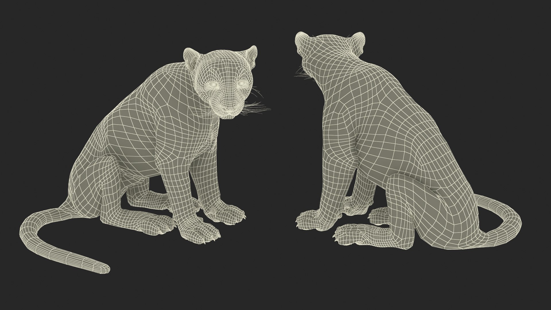3D Snow Leopard in Sitting Pose https://p.turbosquid.com/ts-thumb/tg/byR3oH/bq/snow_leopard_in_sitting_pose_018/jpg/1736061797/1920x1080/fit_q87/5e00338e03fa8d2beefb22592de0fd413d3267c7/snow_leopard_in_sitting_pose_018.jpg