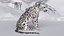 3D Snow Leopard in Sitting Pose