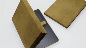 gold case leather model