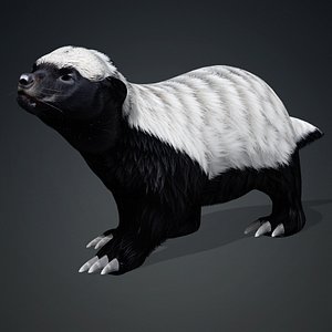3D Honey Badger model