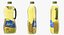 Olive Oil Bottles Collection 2