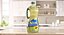 Olive Oil Bottles Collection 2