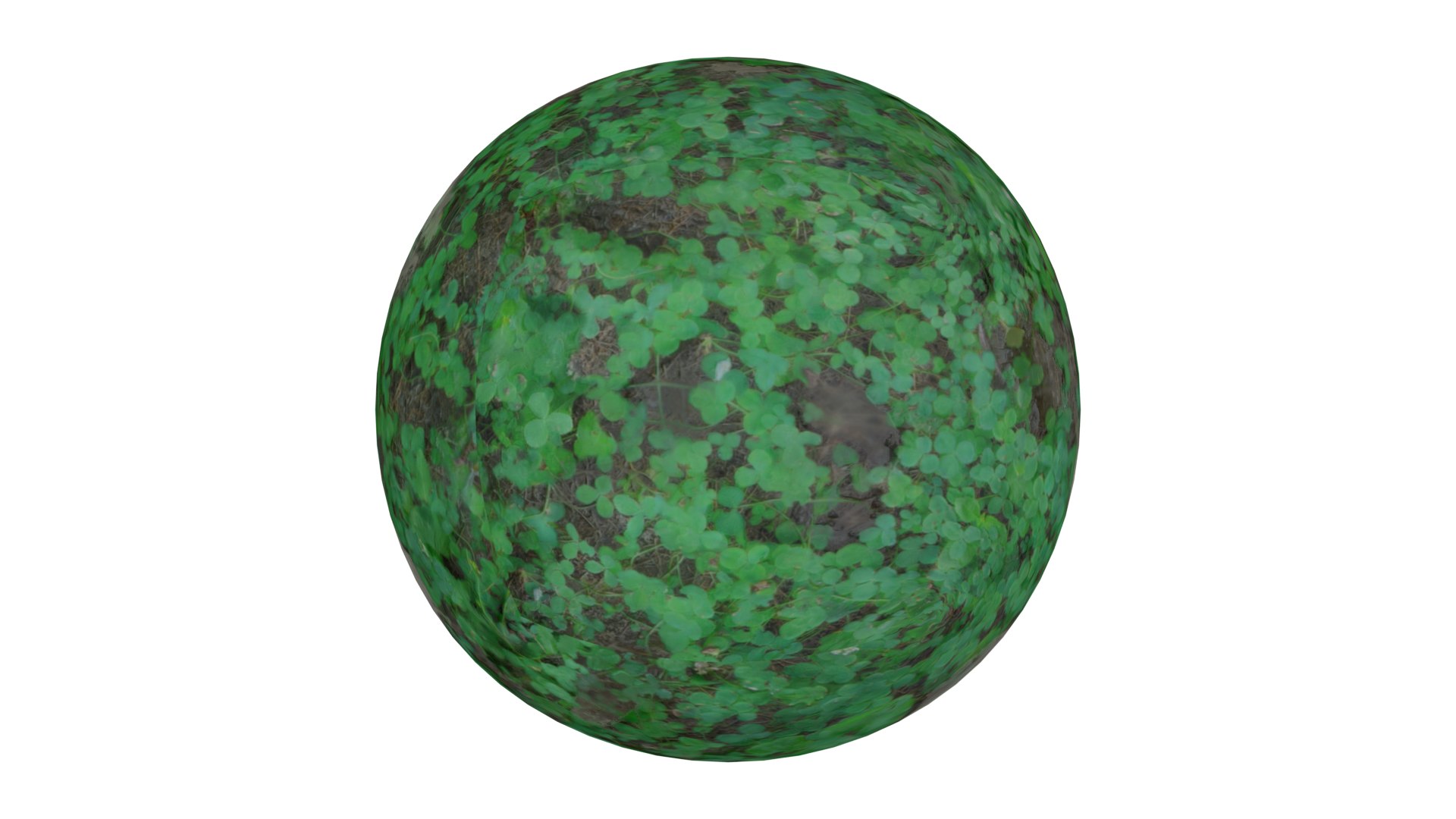 3D Clover Model - TurboSquid 1845038