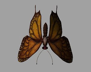 butterfly 3D