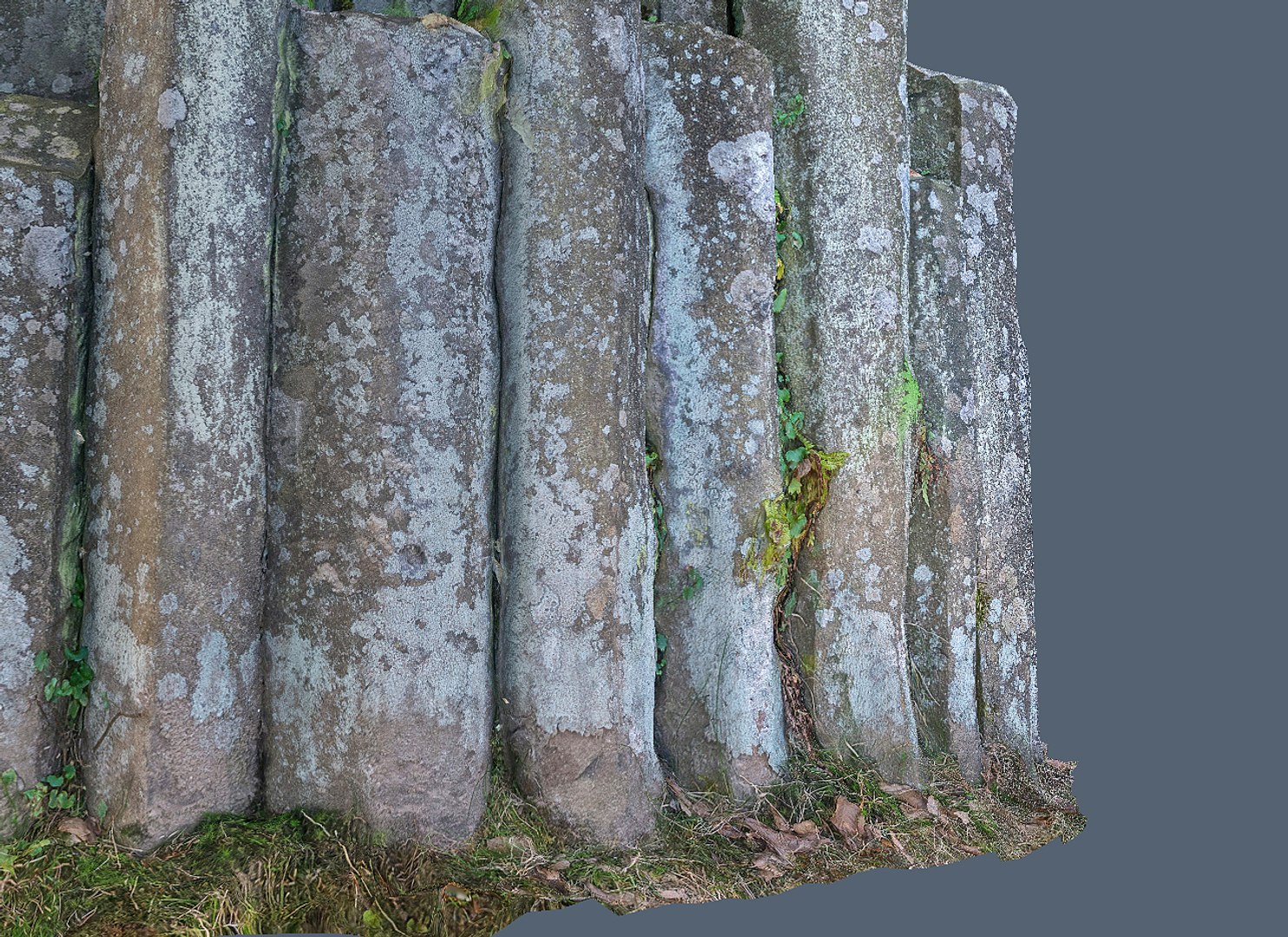 3d Scanned 8k