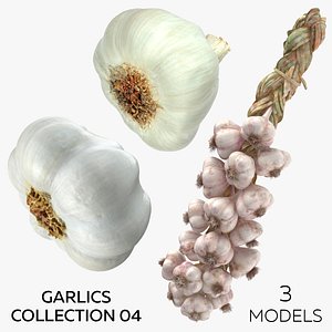 Garlics Collection 04 - 3 models 3D model