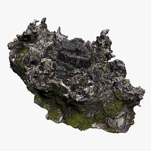 3D tree stump