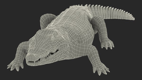 3D model crocodile animals - TurboSquid 1565332