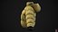 Winter jackets pack