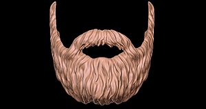 beard 3D model