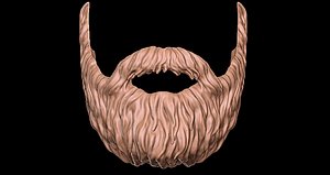 beard 1