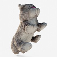 Scanned plush cat