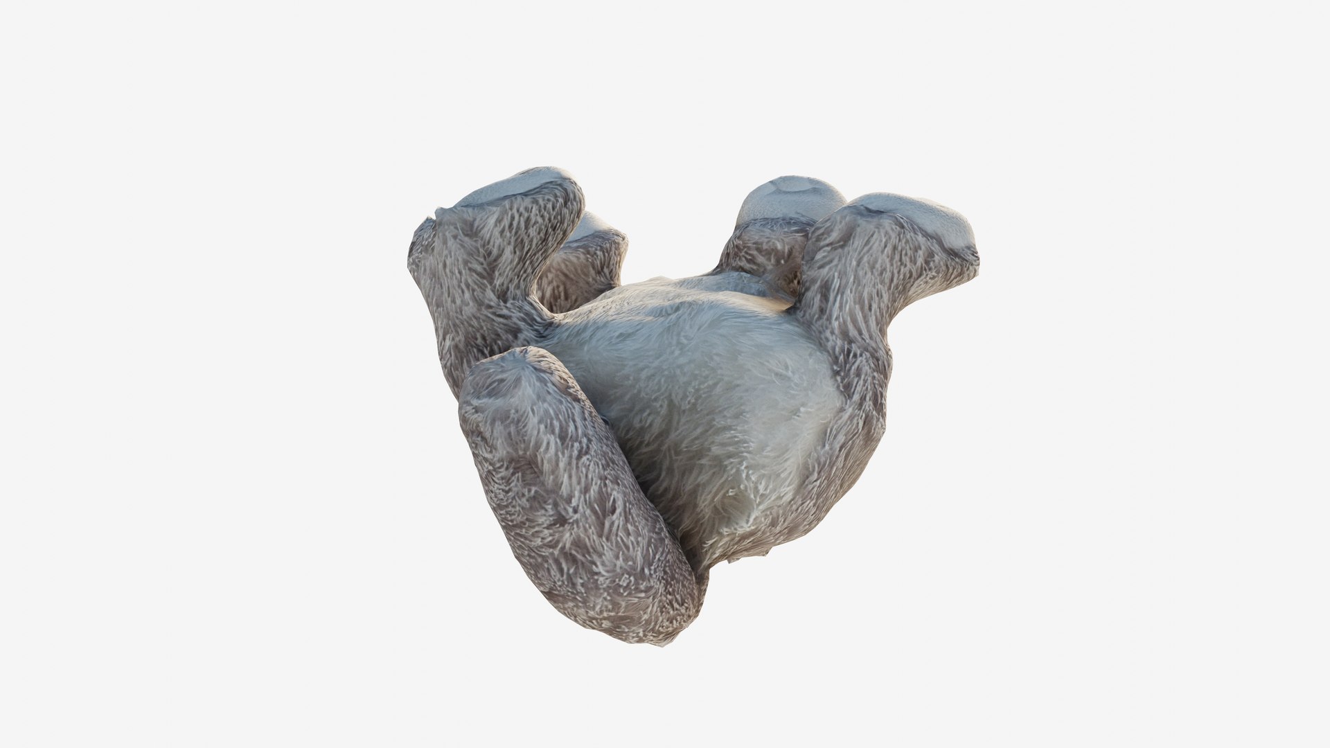 Scanned plush cat 3D model https://p.turbosquid.com/ts-thumb/th/oa59nY/Q4/view_050001/jpg/1740296569/1920x1080/fit_q87/4c5d1e1e1d7502b727192f31bf0edf7ea0d0d530/view_050001.jpg