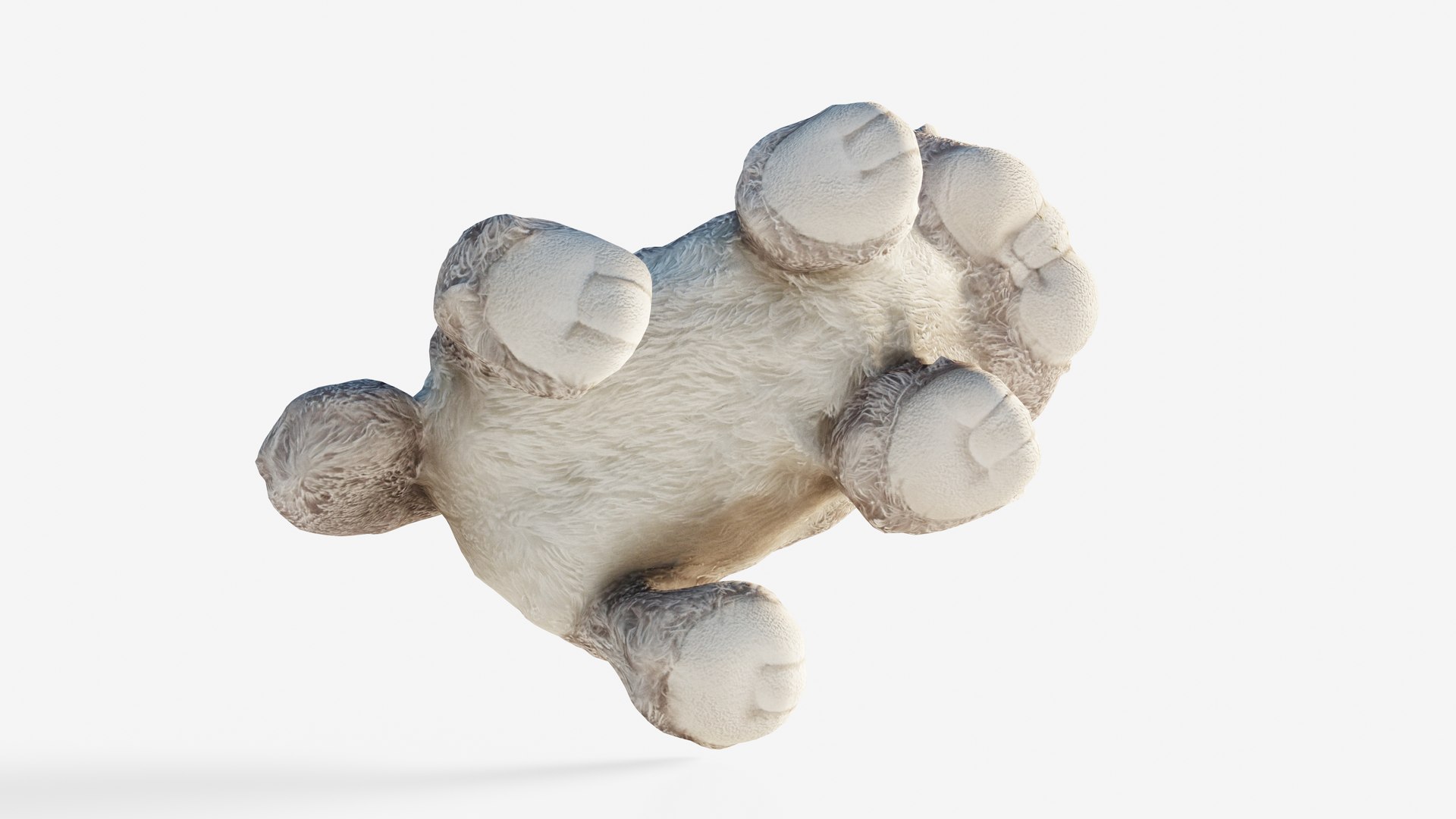 Scanned plush cat 3D model https://p.turbosquid.com/ts-thumb/th/oa59nY/k8/view_020001/jpg/1740296568/1920x1080/fit_q87/33bf61865bdbc478badcc324a627cb5a8fb0fba2/view_020001.jpg