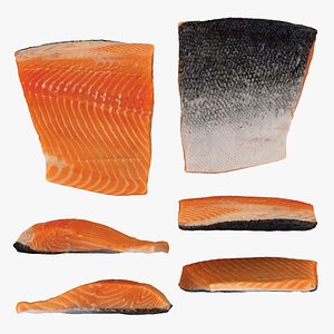 Raw Salmon Raw Scan 3D model