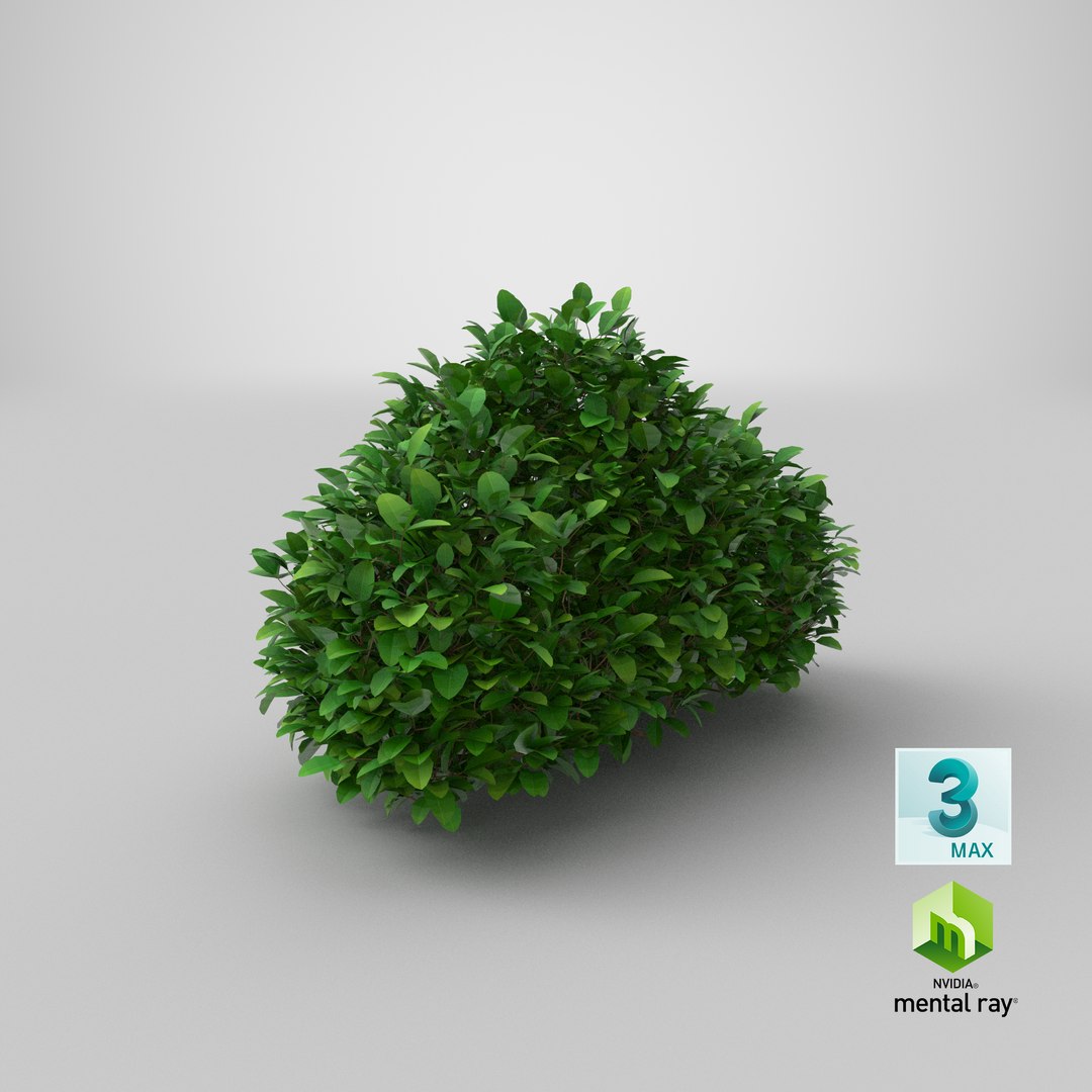 3D Model Cartoon Bush 13 - TurboSquid 1941434