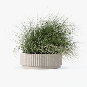 3D Grass in big flower pot