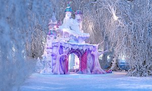 Christmas Forest  winter house