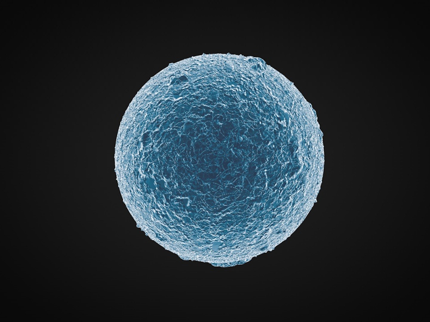 3D ovum sperm https://p.turbosquid.com/ts-thumb/ti/bjxKtg/6ogUA7Lh/43/jpg/1550483804/1920x1080/fit_q87/91fac025368f447ab67102dbc54a69281d0da688/43.jpg