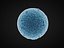 ovule 32