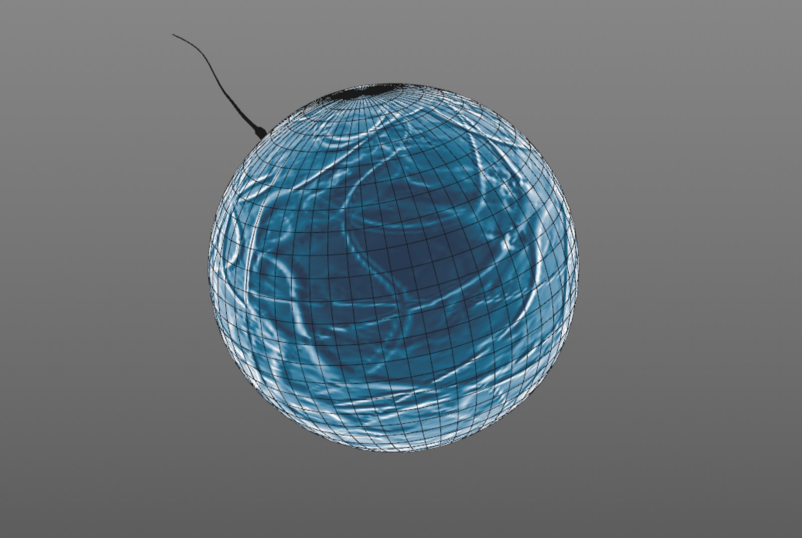 3D ovum sperm https://p.turbosquid.com/ts-thumb/ti/bjxKtg/weTtgCul/wire2/png/1550483857/1920x1080/fit_q87/04f3978031cc7bd8d382f21c62e0c57a314bbdeb/wire2.jpg