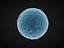 ovule 32