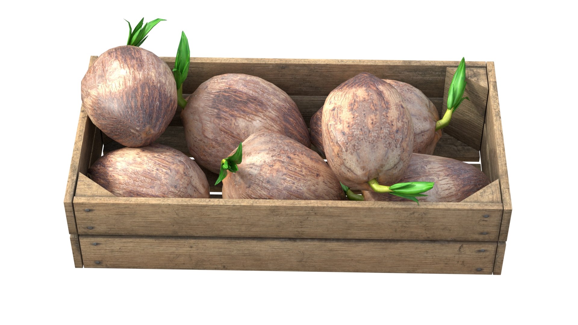 Coconut sprout Wooden Crate 3D model https://p.turbosquid.com/ts-thumb/ti/c9QXV0/2H/3/jpg/1779358267/1920x1080/fit_q87/8ed4506427e007feb7e3f1bbb5bb6aa2c0f5ba5d/3.jpg