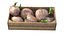 Coconut sprout Wooden Crate
