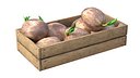 Coconut sprout Wooden Crate