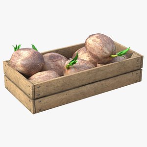 Coconut sprout Wooden Crate 3D model
