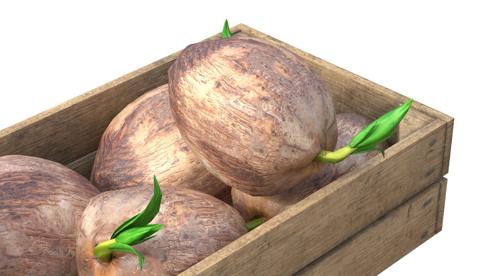 Coconut sprout Wooden Crate 3D model https://p.turbosquid.com/ts-thumb/ti/c9QXV0/b0/4/jpg/1779358267/1920x1080/fit_q87/54bbed2ecd48d6e1394cf1ec02213dd829bf76da/4.jpg