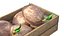 Coconut sprout Wooden Crate