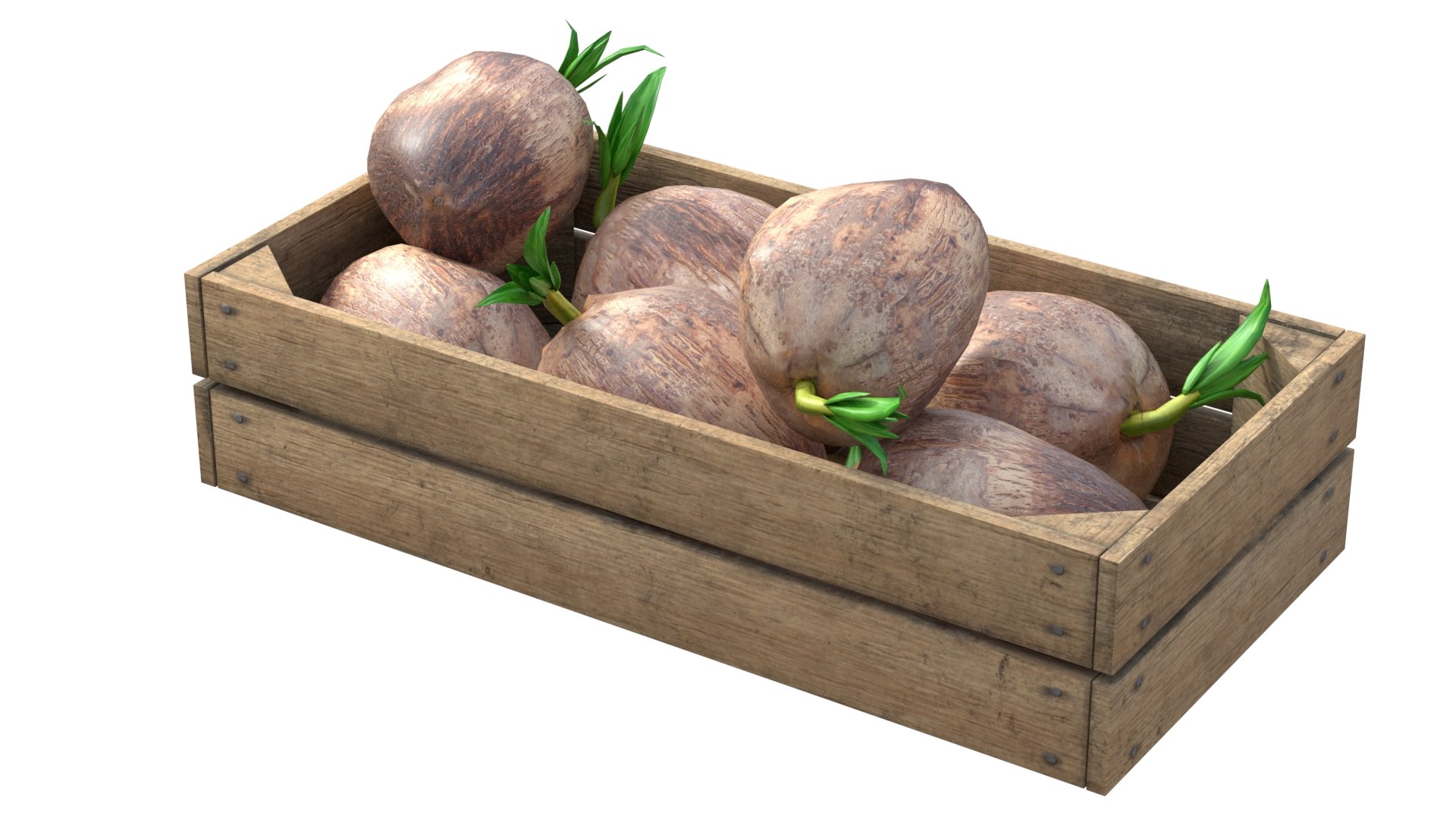 Coconut sprout Wooden Crate 3D model https://p.turbosquid.com/ts-thumb/ti/c9QXV0/ra/2/jpg/1779358266/1920x1080/fit_q87/d2bdcef68bf2d726f671ab30d117507d108dd78d/2.jpg