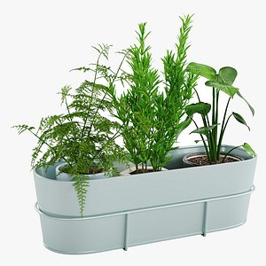 3D Houseplant 89 Vitlok Flower box