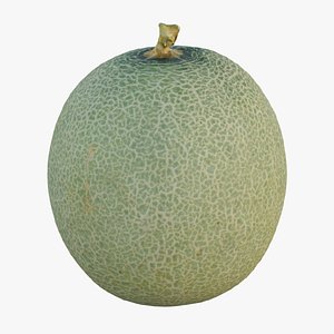 3D Cantaloupe