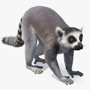 3D Lemures Fur Rigged