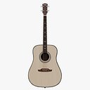 Acoustic Bass Guitar PBR