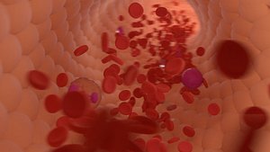 3D bloodstream blood cells model