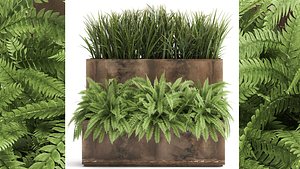 Ornamental grass in a rusty flower pot for the interior 940 3D model