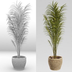 3D decorative plant