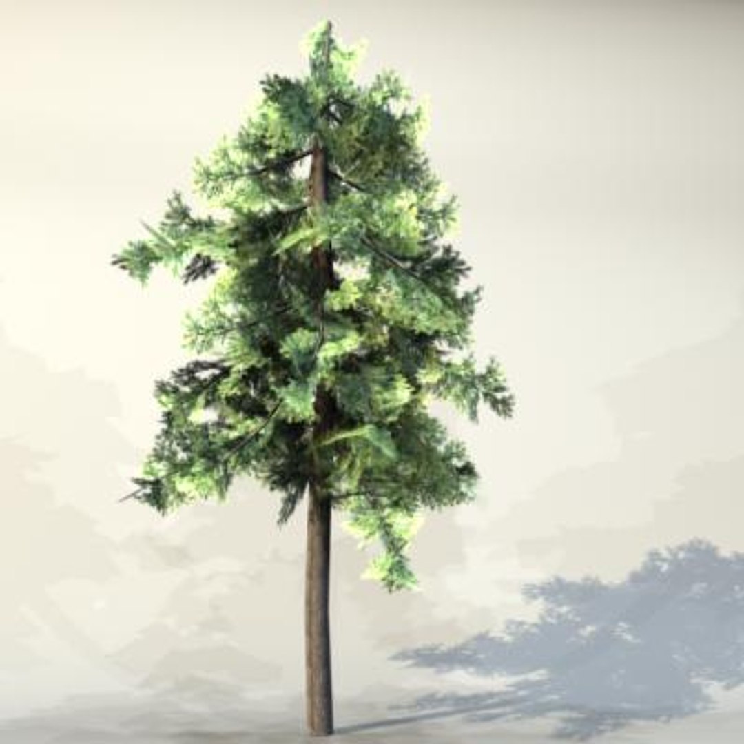 Pc Tree Max