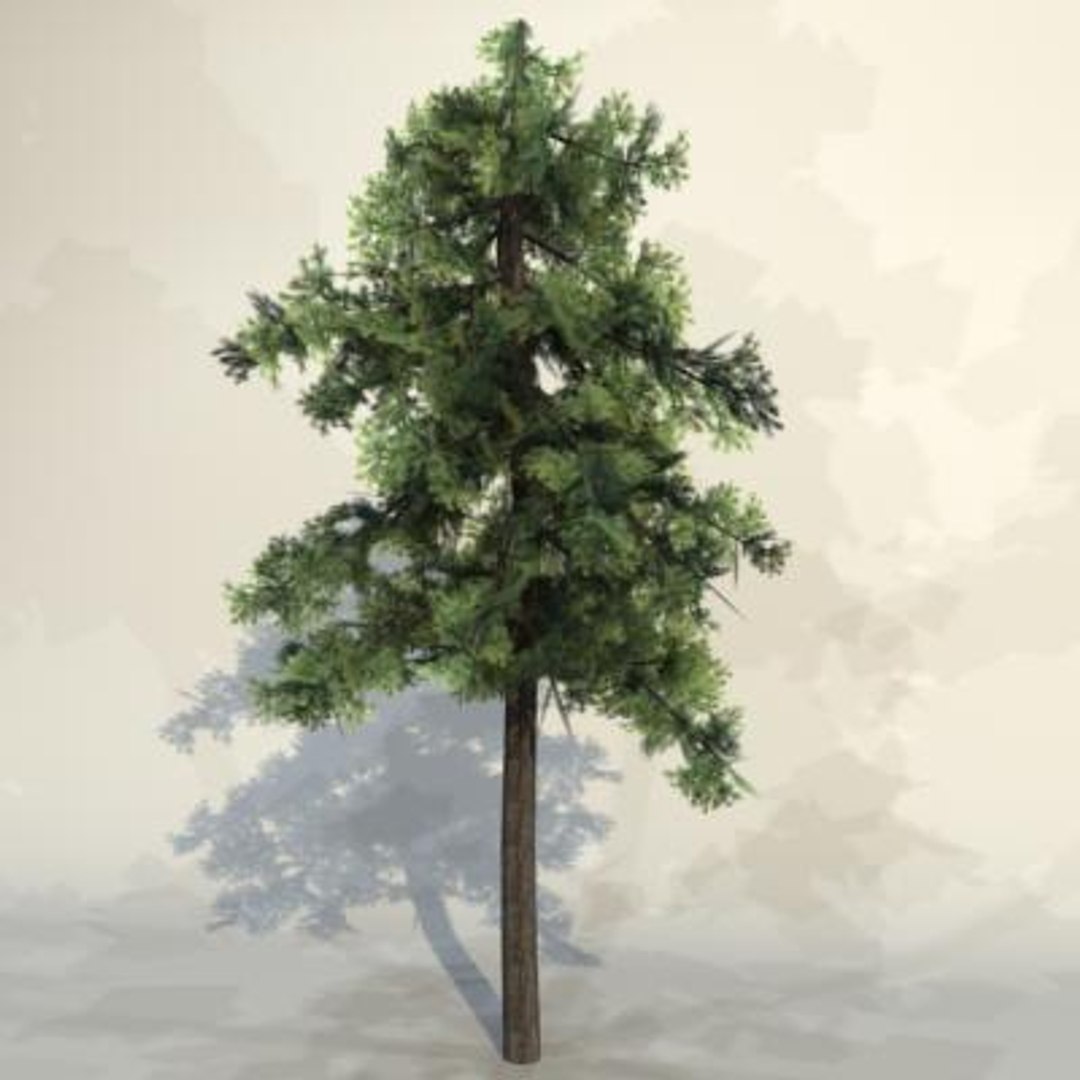 Pc Tree Max