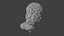High Resolution 8k Human Brain System Pack  Premium