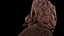 High Resolution 8k Human Brain System Pack  Premium