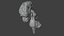 High Resolution 8k Human Brain System Pack  Premium