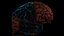 High Resolution 8k Human Brain System Pack  Premium